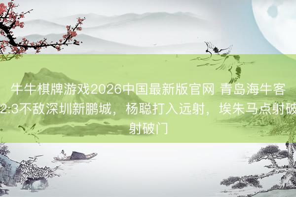 牛牛棋牌游戏2026中国最新版官网 青岛海牛客场2:3不敌深圳新鹏城，杨聪打入远射，<a href=
