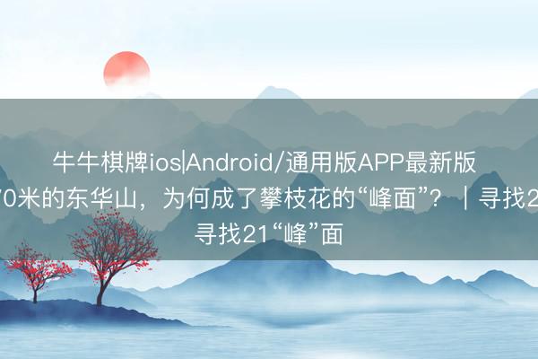 牛牛棋牌ios|Android/通用版APP最新版 海拔1570米的东华山，为何成了攀枝花的“峰面”？｜寻找21“峰”面